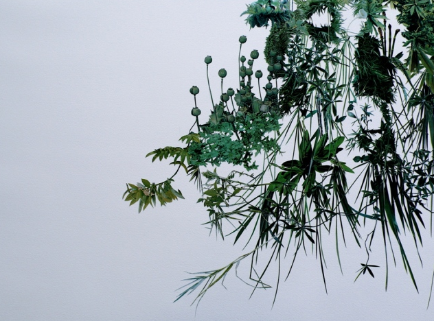 steven eichhorn, foliage collage, art