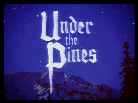 bodies of water, under the pines, video, music, thelooksee