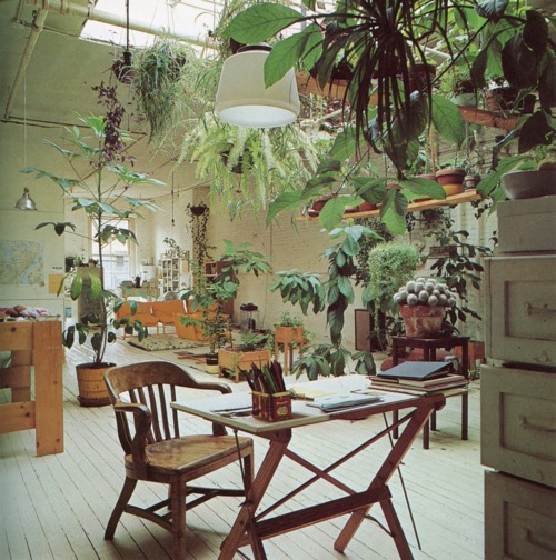 plants, indoors, vintage photo, work space, the look see