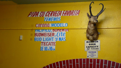 lincoln heights, the look see, los angeles, restaurant, mexican, taxidermy, photo, ©christina beaulac