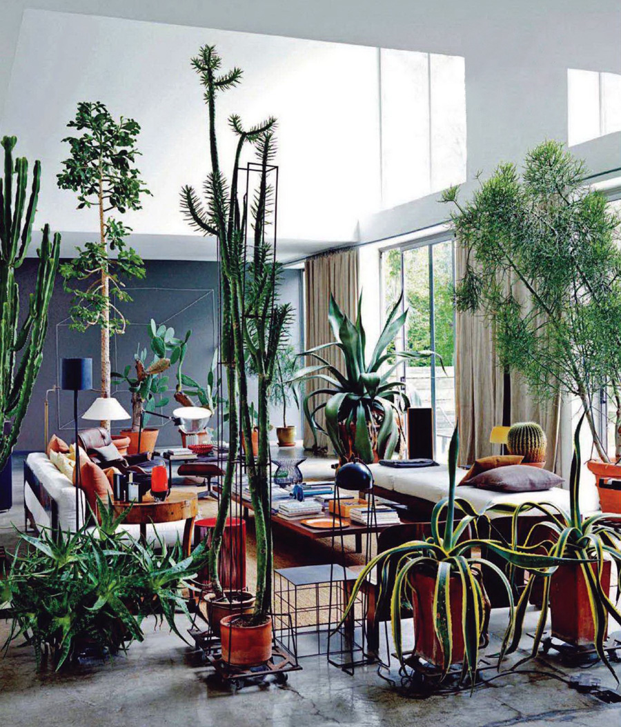 maurizio zucchi, elle korea, cacti, interior design, iiinspired, decor, the look see