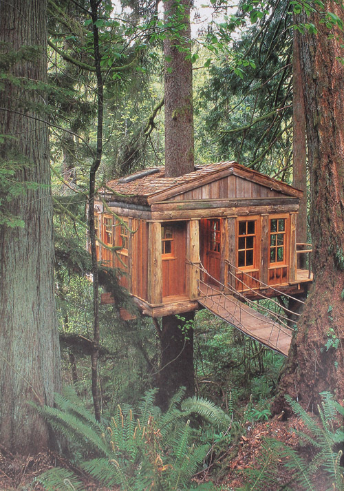 cabin, woods, tree house, vintage, photo